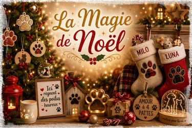 Décorations Noël pour la maison