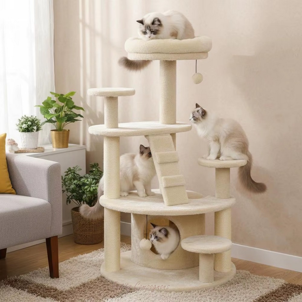 arbre-a-chat-rond-design