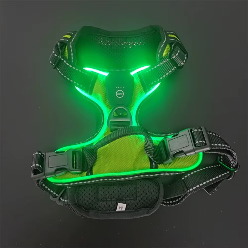 harnais-lumineux-rechargeable-usb