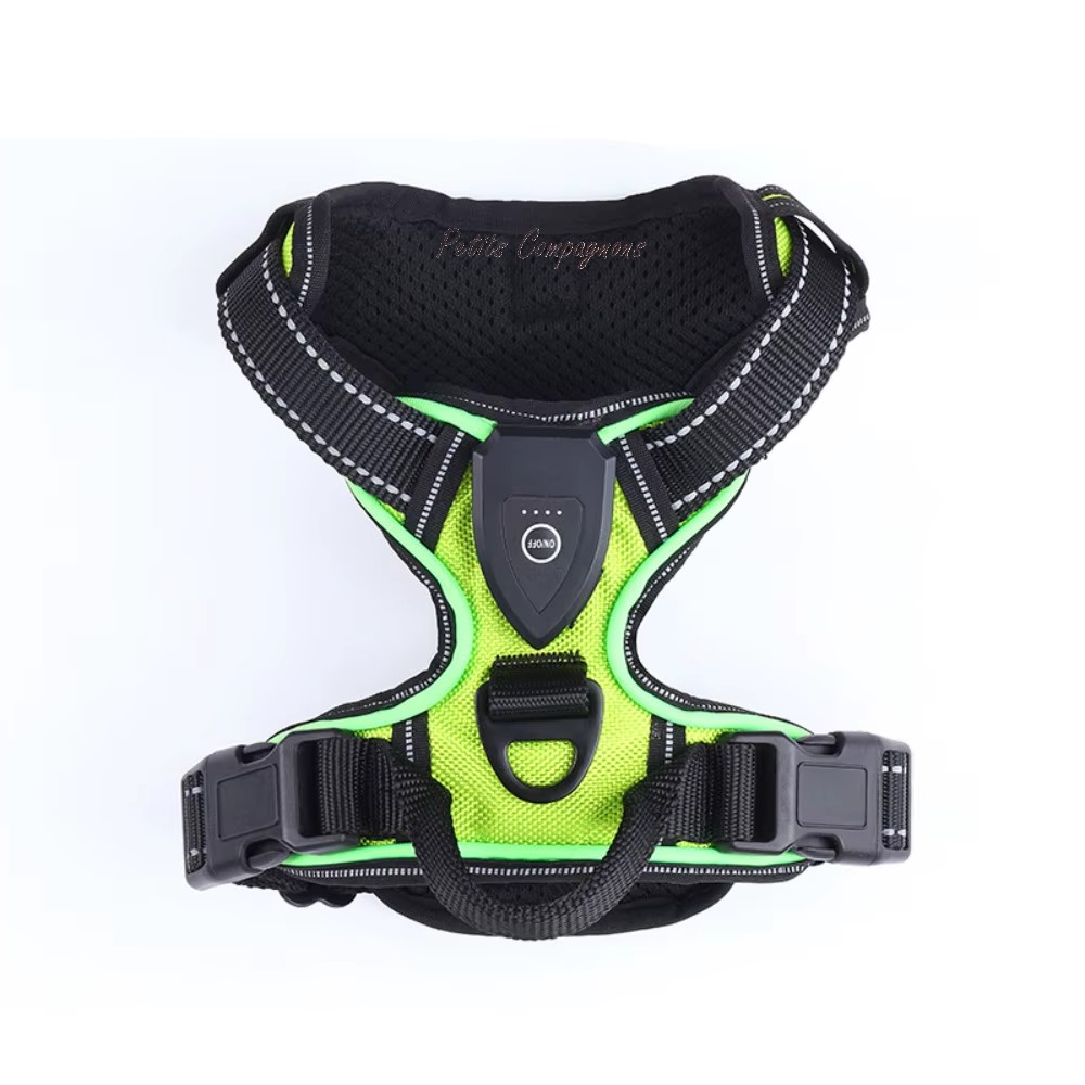 harnais-led-pour-chien
