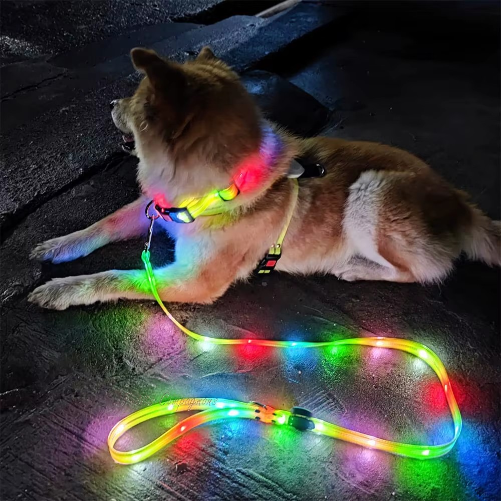 collier-lumineux-led-pour-chien