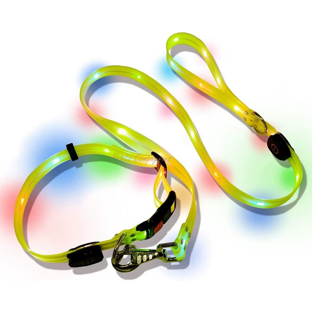 laisse-lumineuse-led-pour-chien