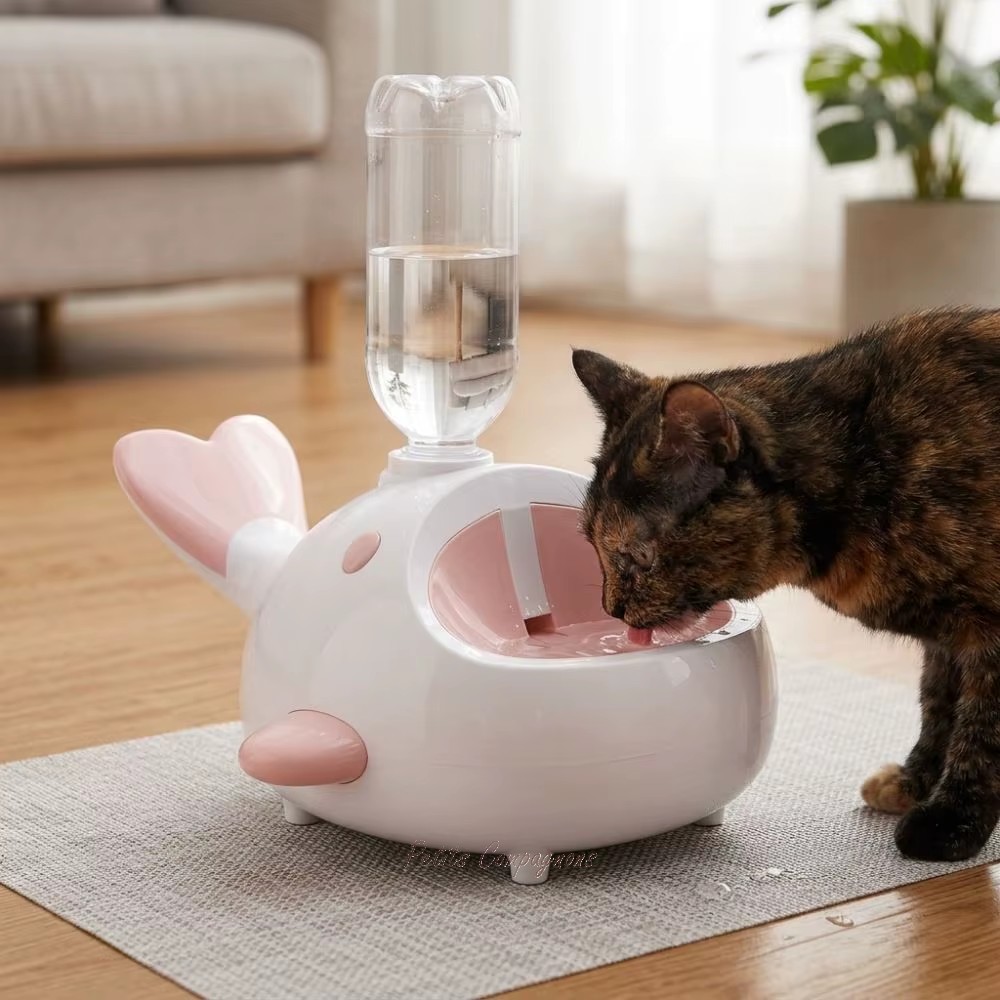 distributeur-eau-anti-eclaboussures