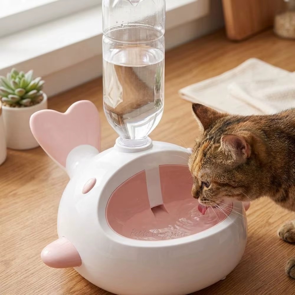 distributeur-eau-sans-electricite