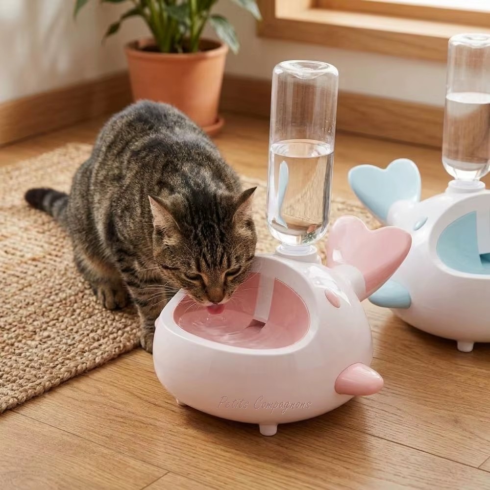 distributeur-eau-baleine-chat