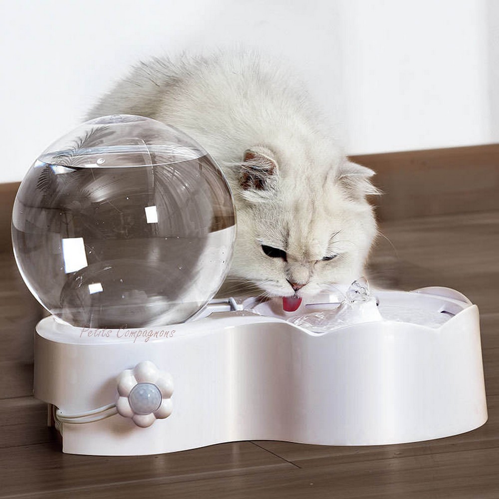 fontaine-detection-mouvement-chat