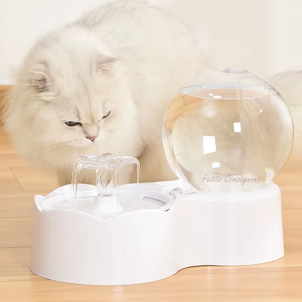 fontaine-usb-pour-animaux