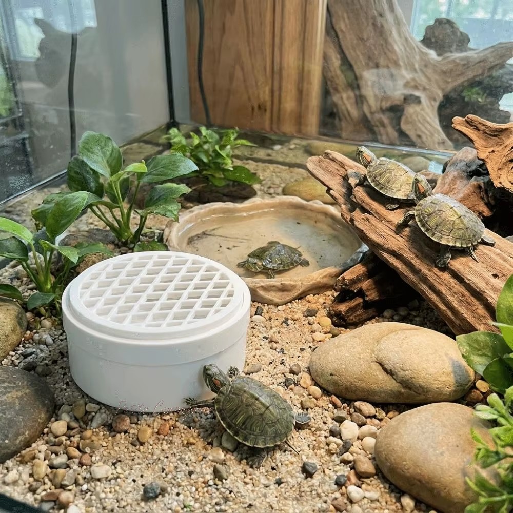 collecteur-dejections-tortue