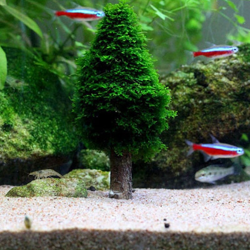 kubiek Indirect Verlating Sapin de Noël pour aquarium - Petits Compagnons