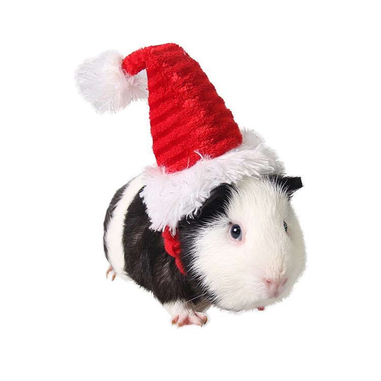 Bonnet-noel-pour-rongeur-Vêtement-noel-pour-rongeur-Chapeau-noel-pour-rongeur-Bonnet-noel-pour-lapin-Bonnet-noel-pour-cochon-d-inde