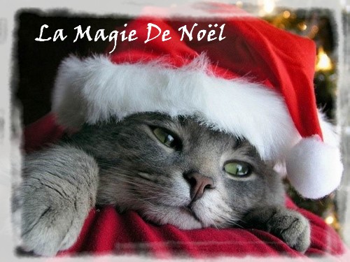 Doudou De Noel Pour Chat Et Chien Petits Compagnons