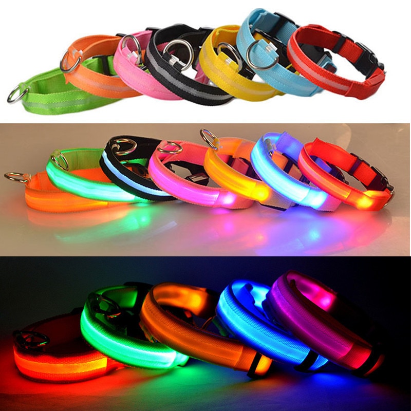 Collier Lumineux Pour Chien Rechargeable USB - LED Réglable, Clignotant, étanche, Tailles XS à L