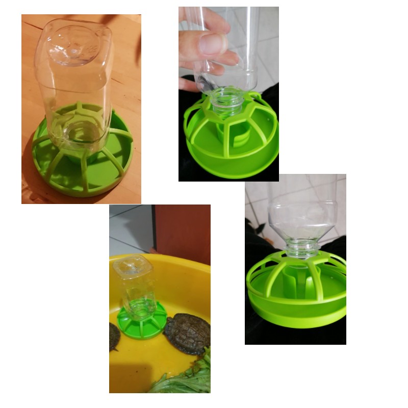 Distributeur-d-eau-tortue-Distributeur-d-eau-reptile-Abreuvoir-tortue-Abreuvoir-reptile