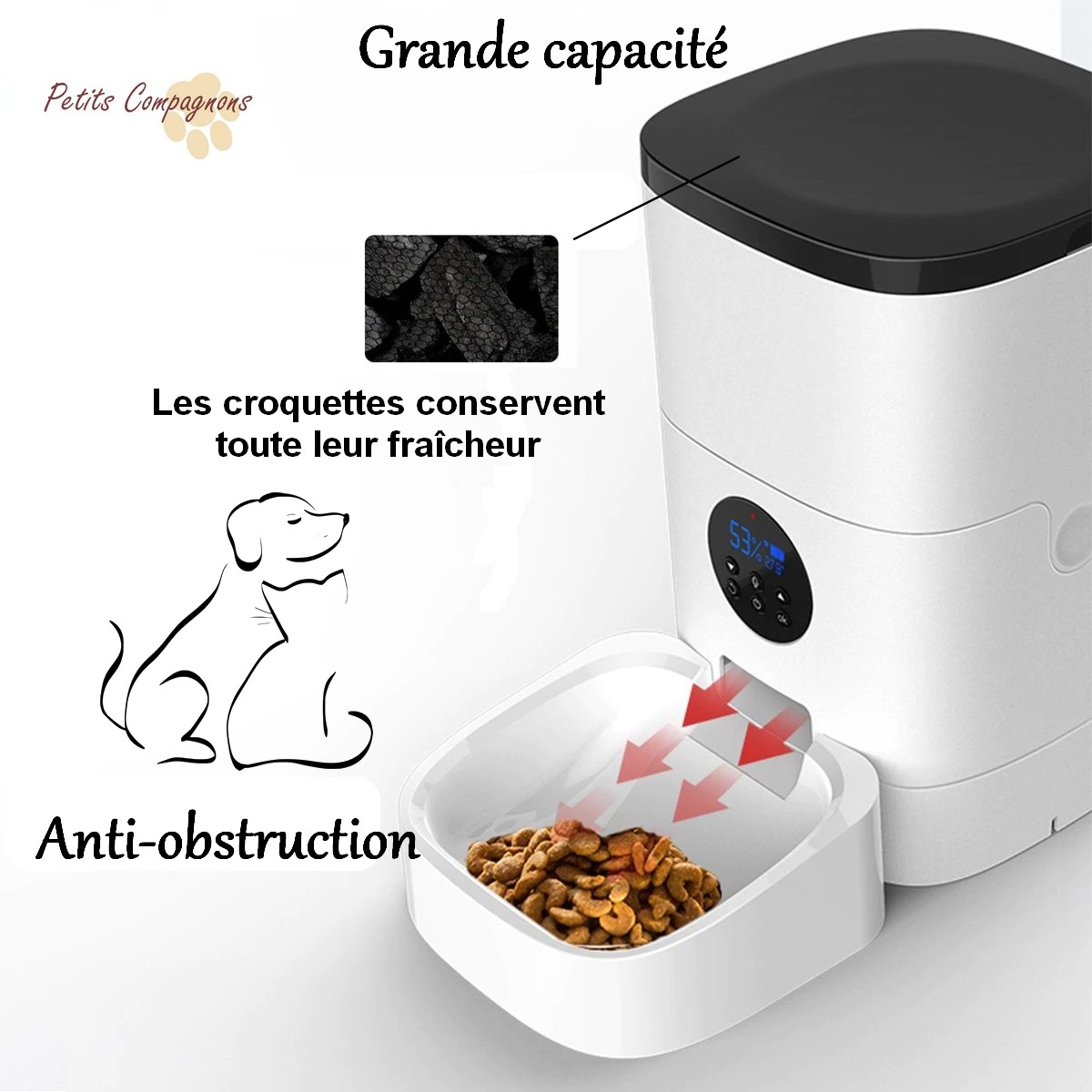 Distributeur de croquettes automatique caméra - Petits Compagnons