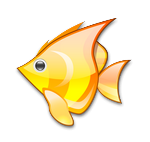 boutique en ligne pour poissons