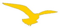 boutique en ligne pour oiseaux
