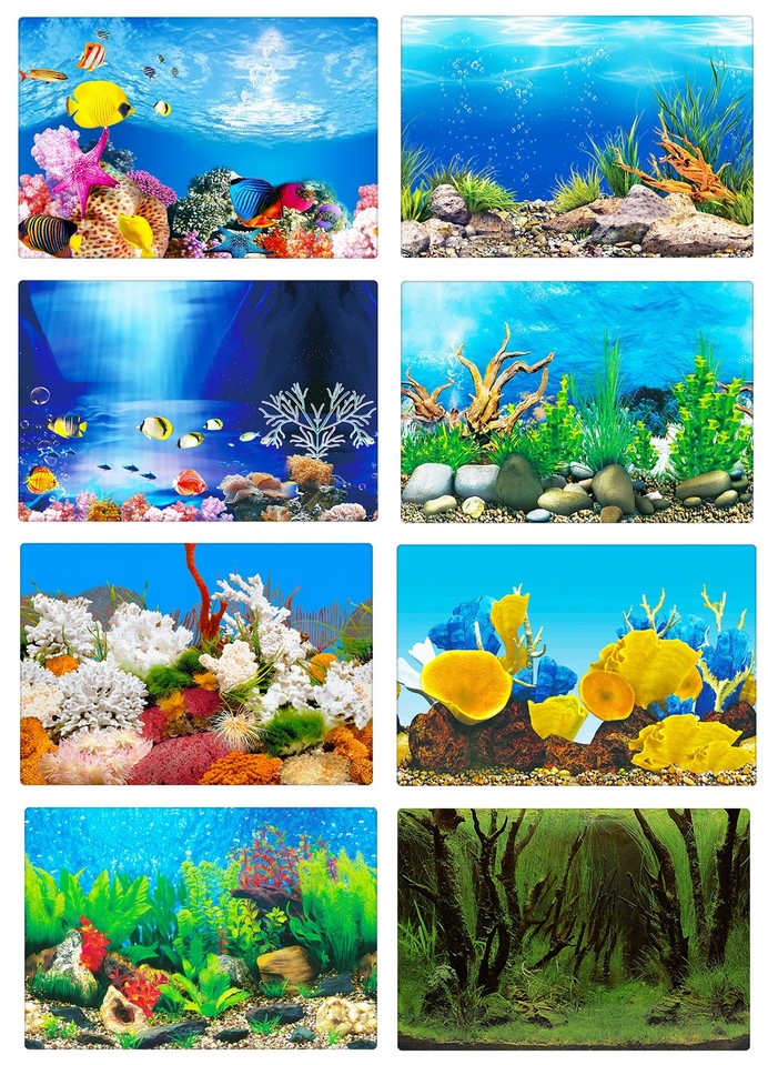 Poster fond aquarium 3D Petits Compagnons