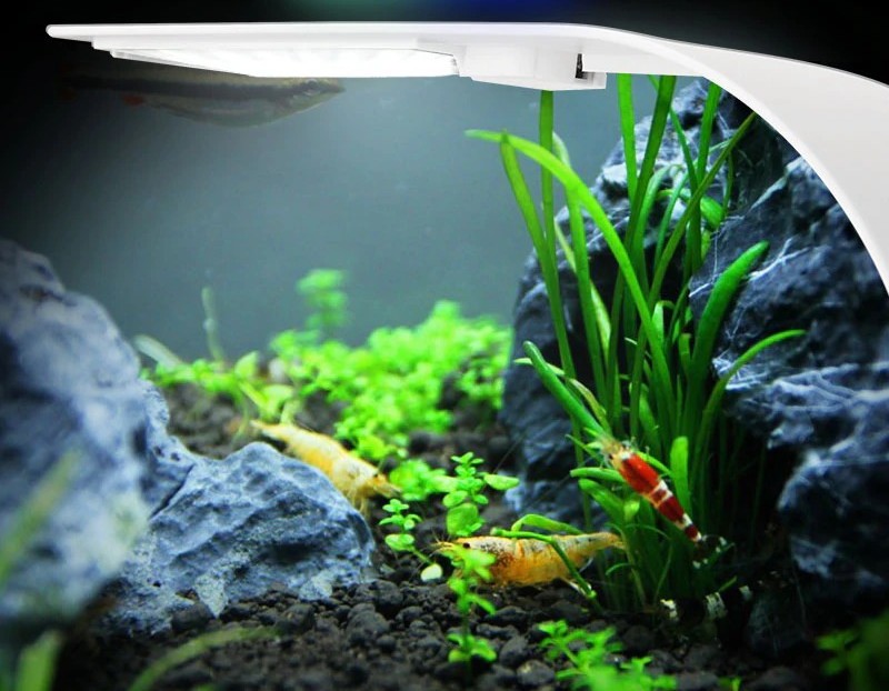 Lampe-led-slim-Superfish-slim-led-Rampe-led-aquarium-Eclairage-led-aquarium-Rampe-led-slim-aquarium