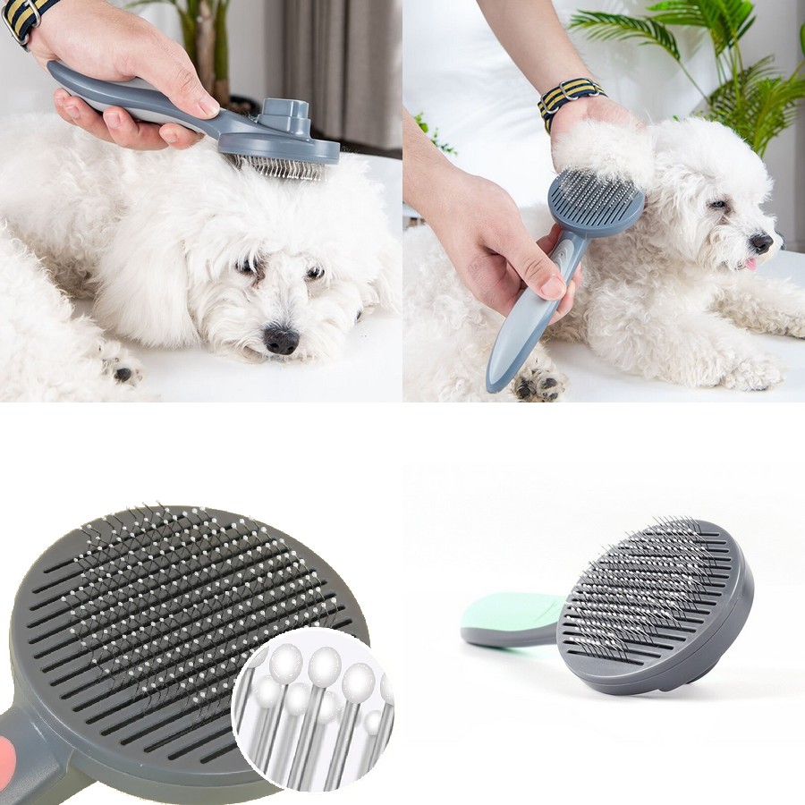 Commander une brosse pour chien en ligne