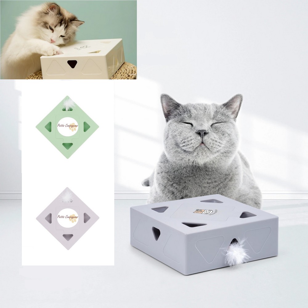 Boîte interactive à plume pour chats - Petits Compagnons