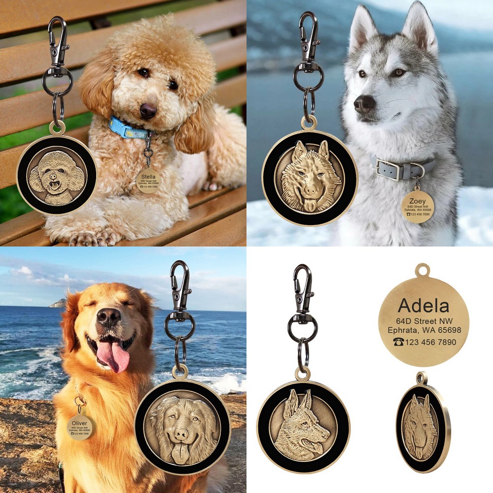 Médaille pour chien gravée avec le nom du chien - Médailles chiens