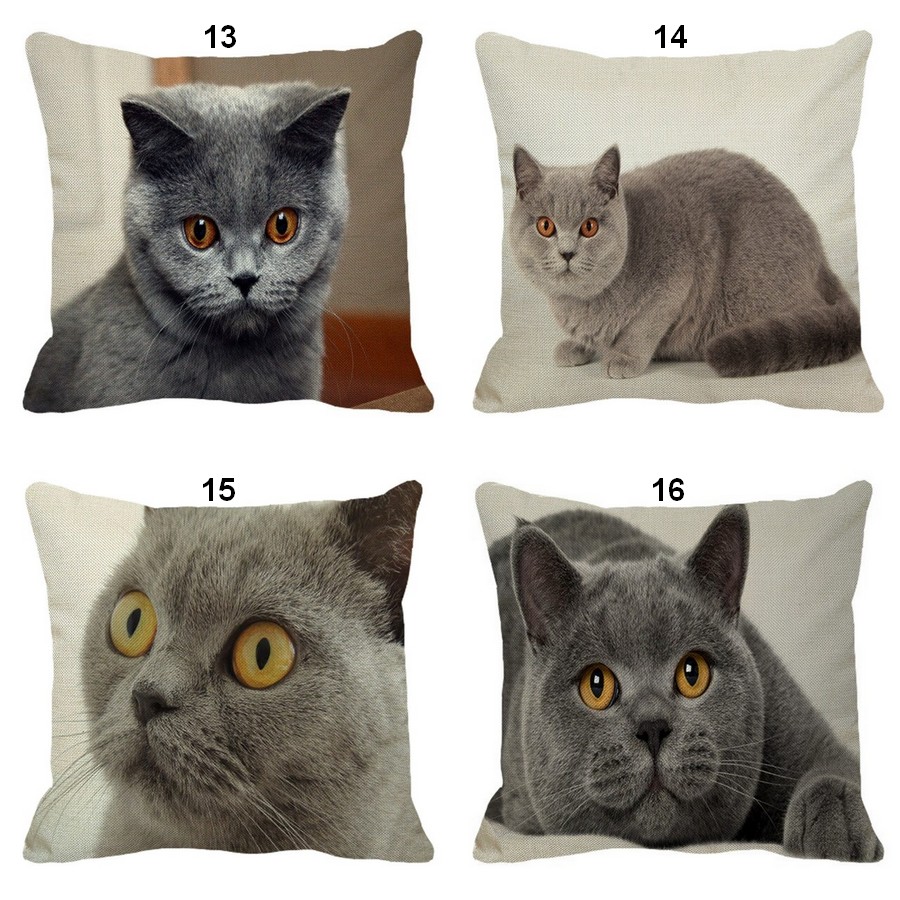 Coussin-chat-Housse-coussin-chat-chartreux-Coussin-chat-chartreux-Coussin-avec-photo-chartreux