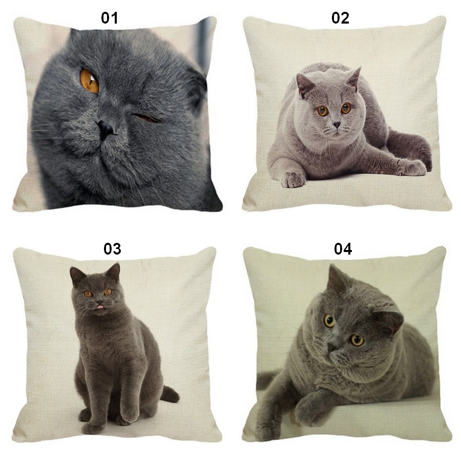 Coussin-chat-Housse-coussin-chat-chartreux-Coussin-chat-chartreux-Coussin-avec-photo-chartreux