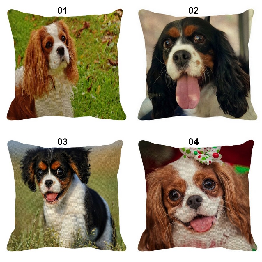 Coussin-chat-Housse-coussin-chat-cavalier-Coussin-chat-ckc-Coussin-avec-photo-cavalier-Coussin-cavalier-king-charles