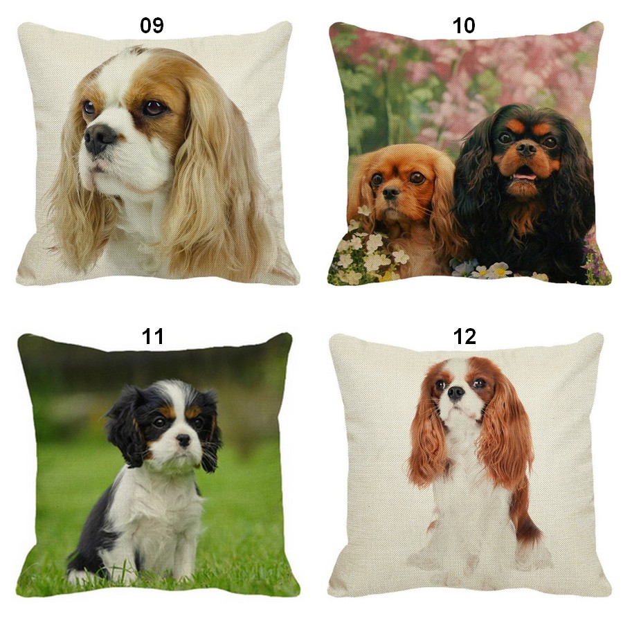 Coussin-chat-Housse-coussin-chat-cavalier-Coussin-chat-ckc-Coussin-avec-photo-cavalier-Coussin-cavalier-king-charles