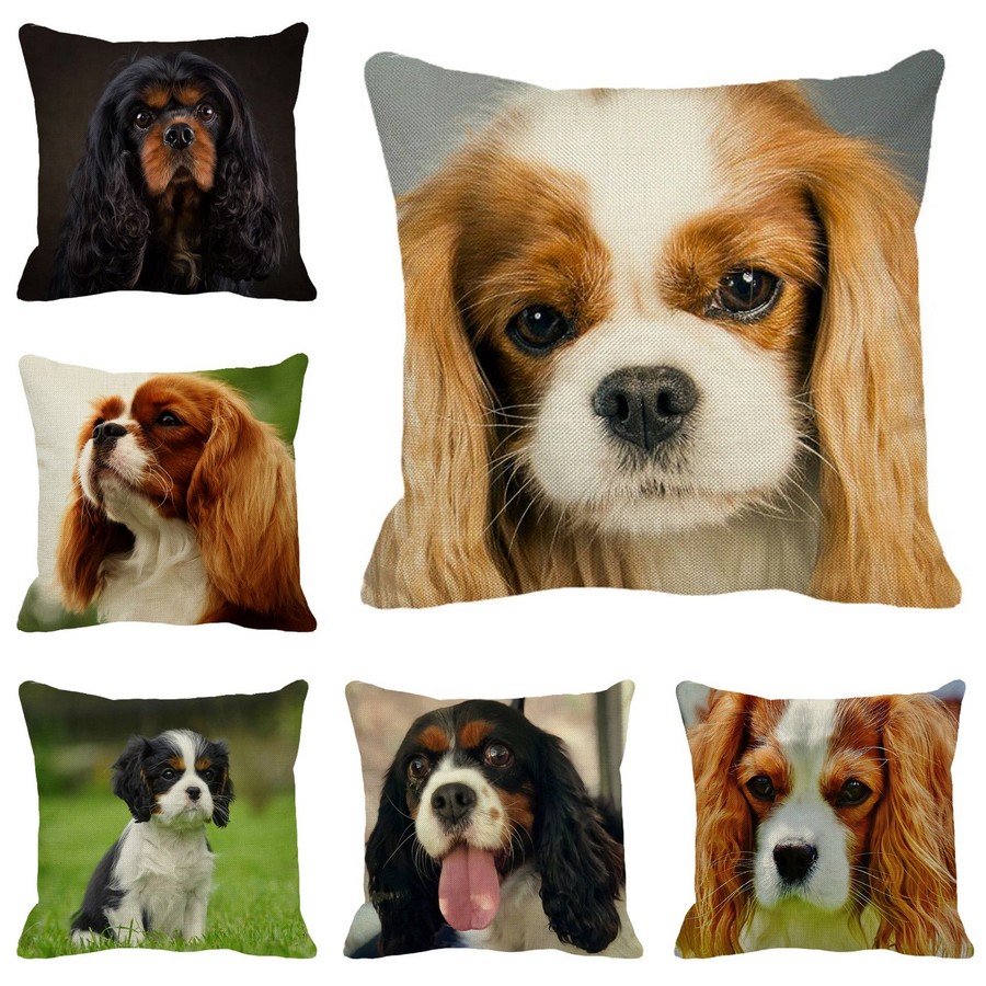 Coussin-chat-Housse-coussin-chat-cavalier-Coussin-chat-ckc-Coussin-avec-photo-cavalier-Coussin-cavalier-king-charles