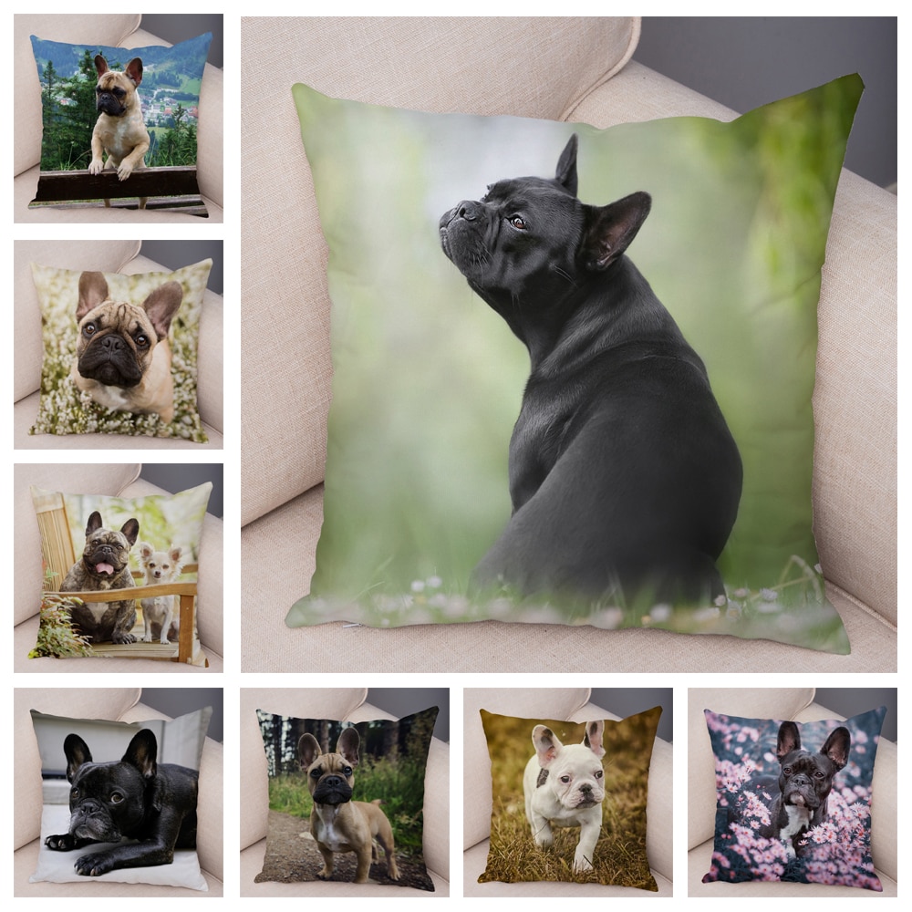 Housse de coussin imprimée Bouledogue - Petits Compagnons