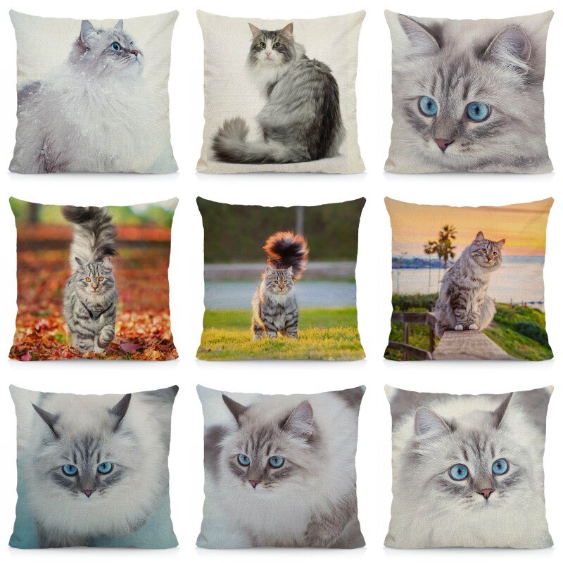 Coussin-chat-Housse-coussin-chat-Coussin-chat-siberien-Coussin-motif-chat-Coussin-chat-blanc