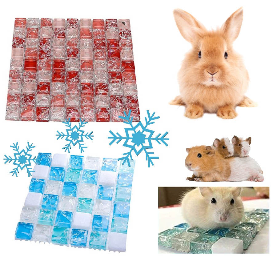 Tapis-rafraichissant-Tapis-rafraichissant-lapin-Tapis-rafraichissant-cochon-d-inde-Tapis-d-été-rongeur