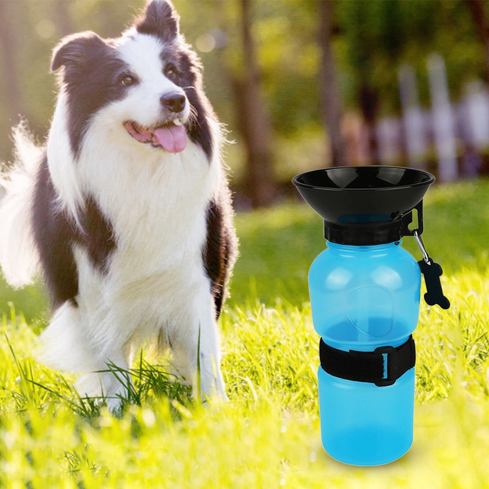 Bouteilles d'eau pour chien Multifonctionnel Portable Chien