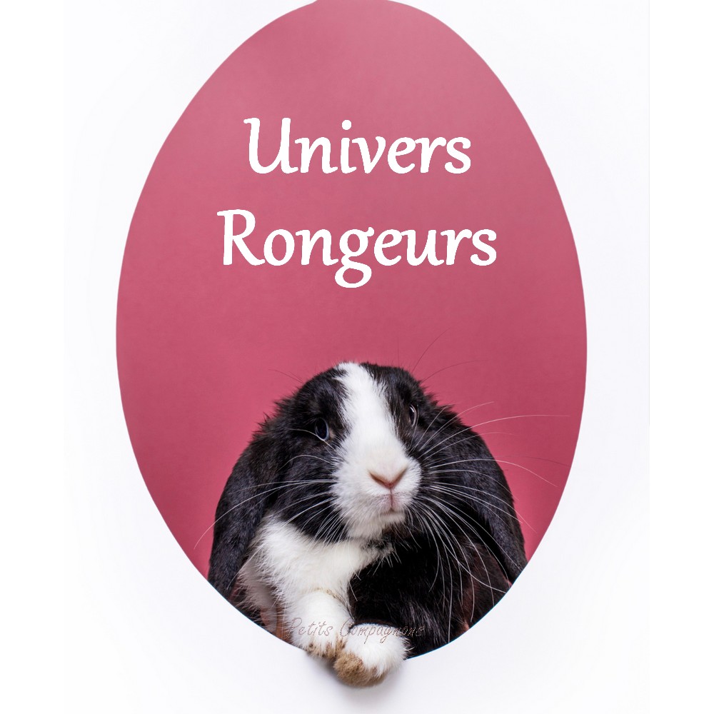 Soldes-boutique-pour-rongeurs