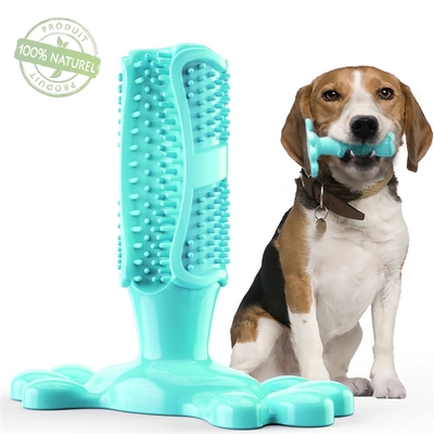 Jouets-pour-chiens-chien-a-macher-hygiene-dentaire-dentition-os-etoile-saucisse-baton-batonnet-mordre-mordiller-brosse-dent-dents