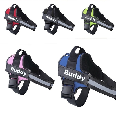 Harnais personnalisable