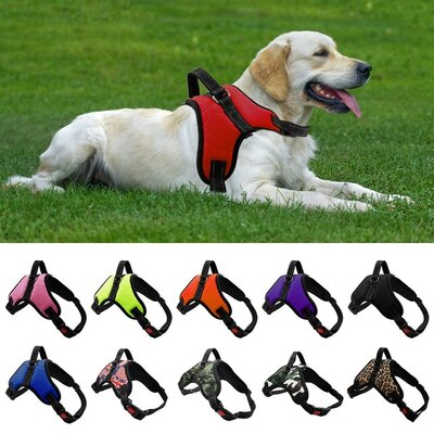 Ensemble-harnais-et-laisse-pour-chien-Harnais-reglable-pour-chien-Laisse-reflechissante-pour-chien