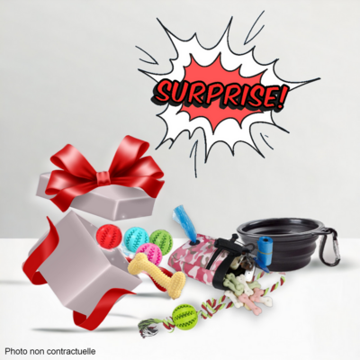 Boîte surprise Découverte
