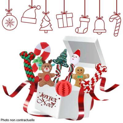 Boîte surprise de Noël