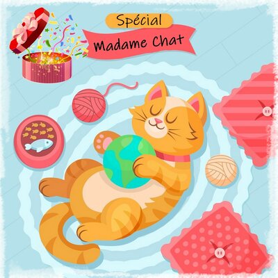 Boîte surprise pour chat "Féline"