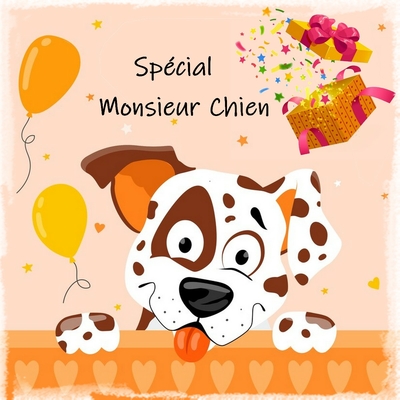 Boîte surprise pour chien "Canin"