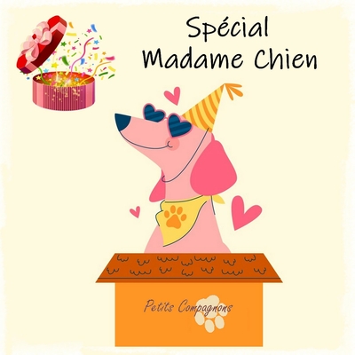 Boîte surprise pour chien "Canine"