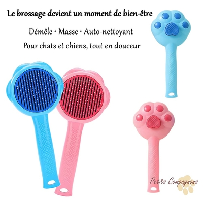peigne-empreinte-de-patte-chat-chien