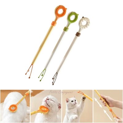 brosse-chat-retractable