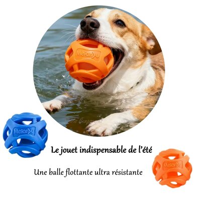 balle-flottante-aqua-dog