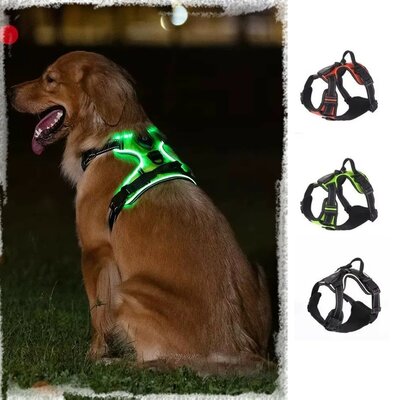 harnais-anti-traction-lumineux-led