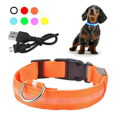 Collier lumineux USB
