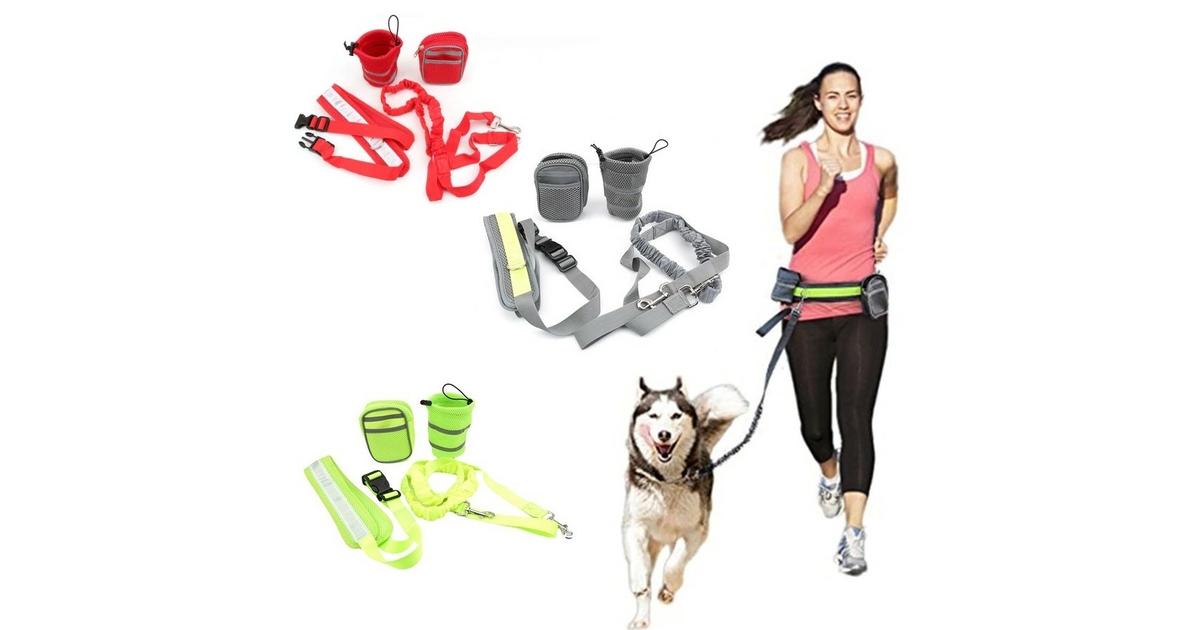 PiuPet® Laisse Chien 2m I 3 Longueurs réglable I Laisse pour Petits et