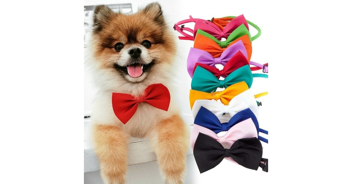 Nœud Papillon Réglable Pour Chien/chat - Blanc - Taille S (26-30cm) - Coton - DULEE